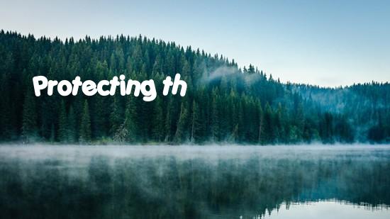 Protecting the environment：Our responsibility and hope